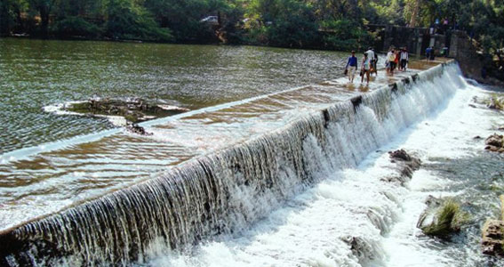 Student special Gujarat